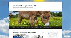 Desktop Screenshot of miniaturedonkeysforsale.co.uk